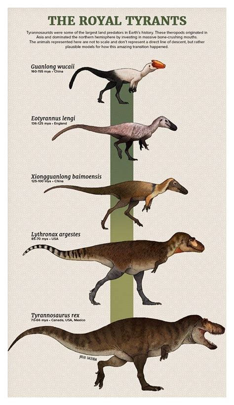 Tyrannosaurus Evolution | Prehistoric animals dinosaurs, Prehistoric ...