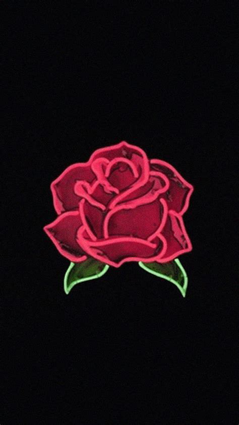 Black Rose Aesthetic on Dog, black and red profile HD phone wallpaper | Pxfuel