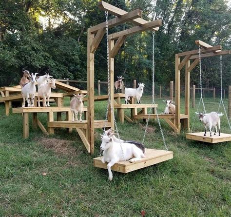 Goat playground! This looks like a super simple setup that would be fun ...