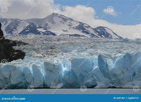 Grey Glacier stock image. Image of environment, fjord - 4381401