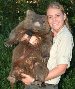 Outback Snack: Wombats Aussie Badger