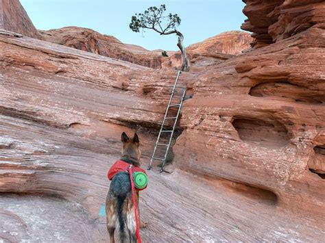 Why We Love To Hike Corona Arch (+Pinto & Bowtie) - Karabou Adventures