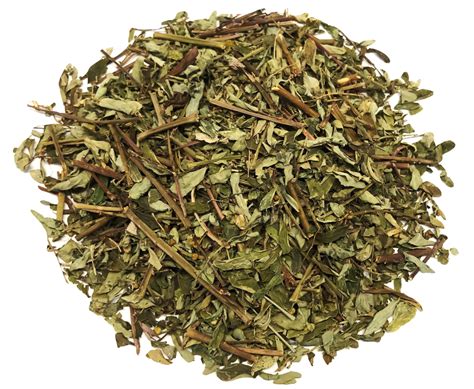 Chanca Piedra Tea Stone Breaker Herbal Infusion Tea (90g) - Herbal Remedies & Resins