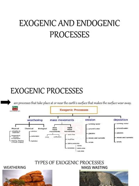 EXOGENIC AND ENDOGENIC PROCESSES.pptx