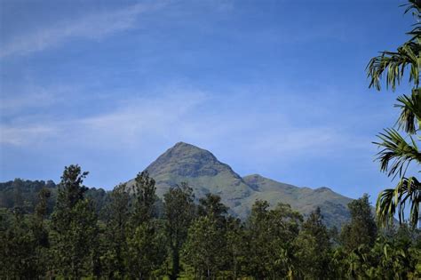 Places to Visit in Wayanad in 2 Days - Wayanad Trip | IMVoyager