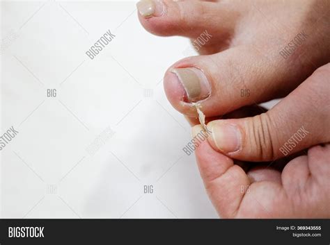 Asian Woman Cutting Image & Photo (Free Trial) | Bigstock