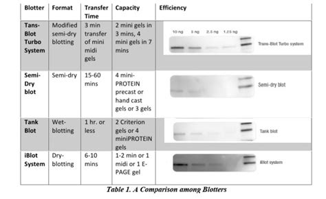 Dry, wet, semi-dry and trans blot turbo are compared to investigate... | Download Scientific Diagram