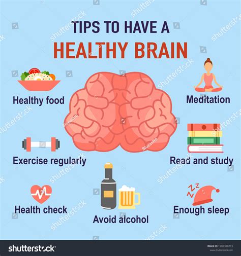 Healthy Brain