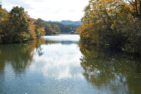 Taisho Pond Green Park: Fall Foliage 5 | Photos | Another Kyoto Media ...