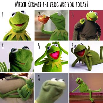 Mood Scale Memes - Which ____ Are You Today? by Miss Dunne Music