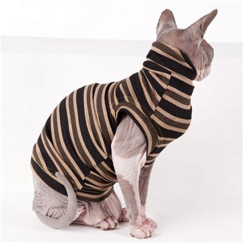 Sphynx Cat Clothes Archives • Sphynx Cat Wear | Sphynx cat clothes, Sphynx cat, Cat clothes