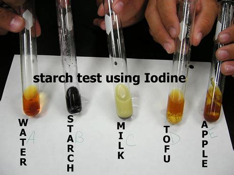 Food test 1 - Starch test - Biology Notes for IGCSE 2014