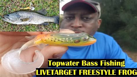 Topwater Frog Bass Fishing Tips | Live Target Freestyle FROG - YouTube