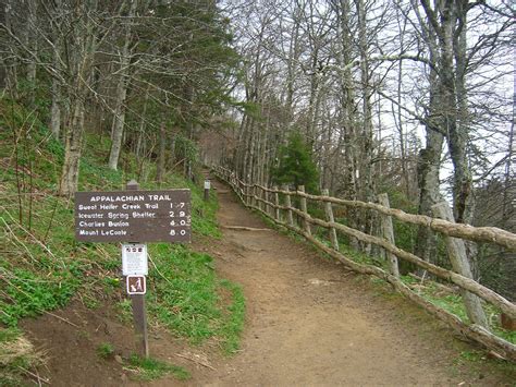 Fishing Through Life: Hiking The Appalachian Trail Georgia to Maine