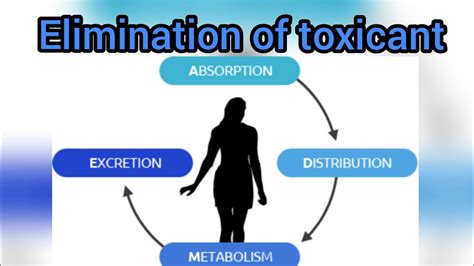 models of Elimination or toxicokinetics models#biology #trending #toxicology @king zoology - YouTube