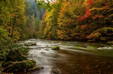 Wallpaper : Harz, Jerman, musim gugur, sungai, pohon 3600x2349 ...