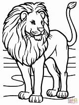 Lion Coloring Pages Lions Free  birijuscom sketch template