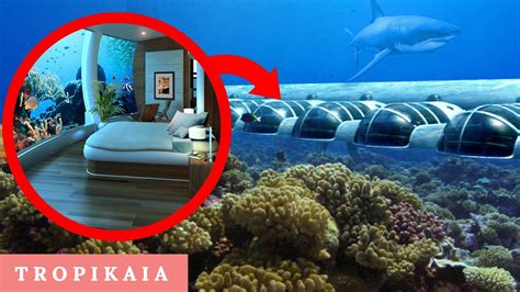 FIJI UNDERWATER HOTEL: Is The Poseidon Undersea Resort Real? | สรุป ...