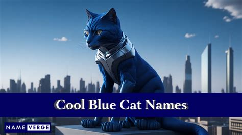 Blue Cat Names: 474+ Cool Names For Russian Blue Cats