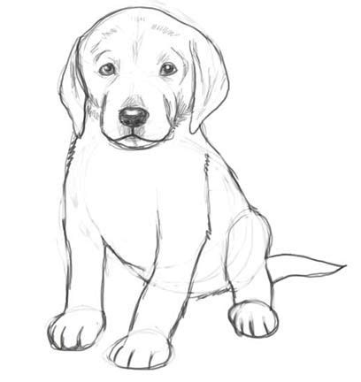 Dog Drawings In Pencil Easy For Kids Sketch Coloring Page | Dog pencil ...