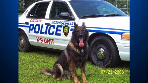 Retired Monroeville Police K-9 Officer Passes Away - CBS Pittsburgh