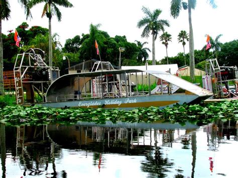 Everglades Holiday Park | Airboat rides, Travel fun, Everglades