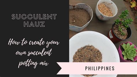 How to create your own Succulent potting mix (Philippines 🇵🇭) - YouTube