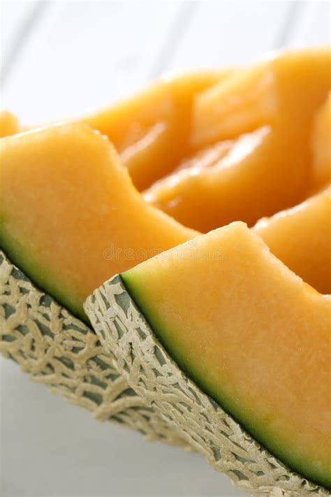 Cantaloupe slice stock photo. Image of cantaloupe, rind - 7852828