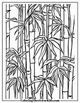 Bamboo Coloring Pages For Adults  Sheets Kids sketch template