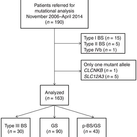 (PDF) Differential diagnosis of Bartter syndrome, Gitelman syndrome, and pseudo–Bartter/Gitelman ...