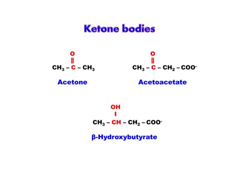 KETONE BODIES METABOLISM