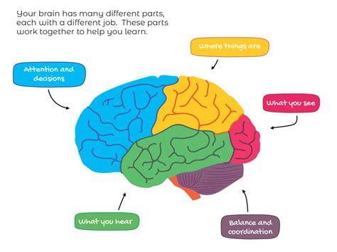 Explaining Anxiety to Kids | The Brain Building Book