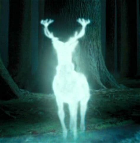 Patronus Charm - Harry Potter Photo (16349304) - Fanpop