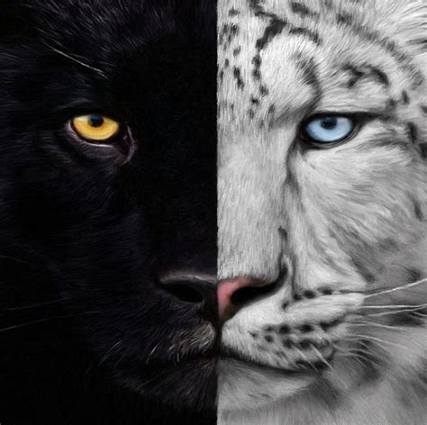 White Panther