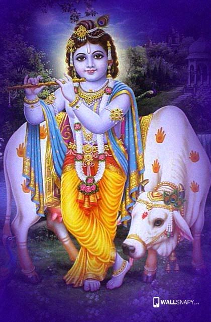 God krishna with cow hd wallpapers