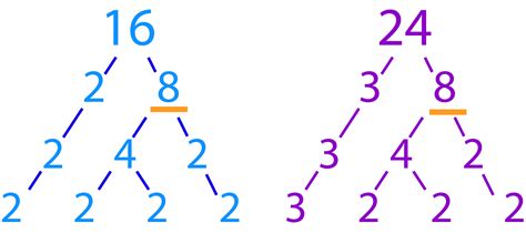 worksheet. Prime Factorization Tree. Worksheet Fun Worksheet Study Site