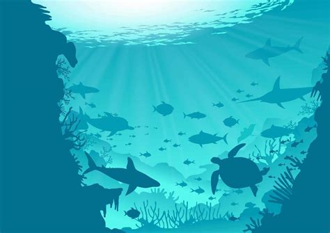 Ocean & Sea Vectors | Free Vector Graphics | Everypixel