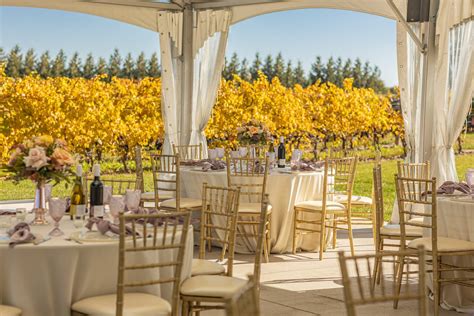 Bella Terra Vineyards - Venue - Niagara on the Lake - Weddingwire.ca