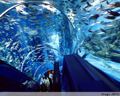 Let's Travel: YOKOHAMA HAKKEIJIMA SEA PARADISE - JAPAN