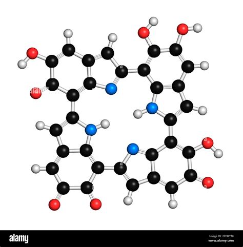 Melanin proposed oligomeric structure, illustration Stock Photo - Alamy