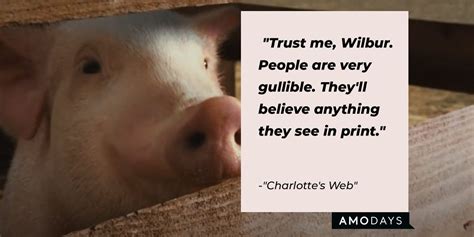 34 Charlotte’s Web Quotes from the Story That Never Gets Old