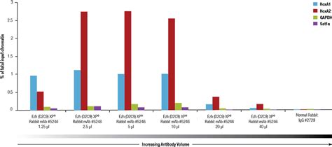 Overview of Chromatin Immunoprecipitation (ChIP) | Cell Signaling ...