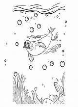 Seal Monk Coloring Pages Color Animals Printable Print Turtle  sketch template
