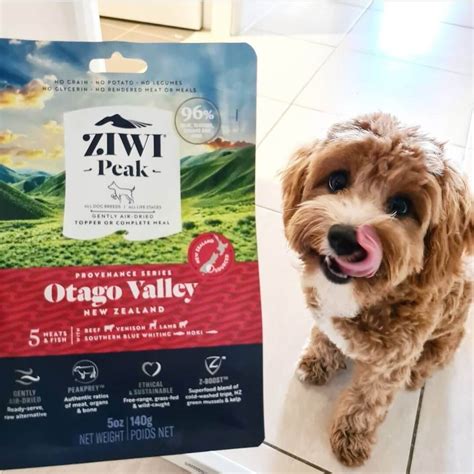 Ziwi Peak Dog Food Review (2022 Edition) - gentledogtrainers.com.au