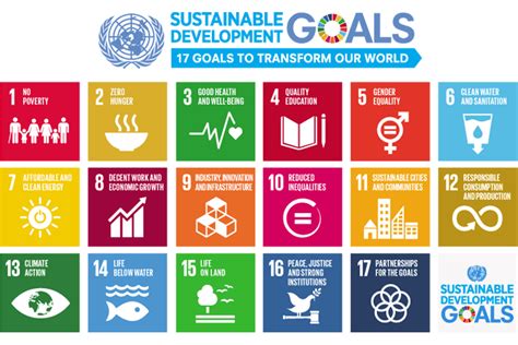 The United Nations Sustainable Development Goals Explained - SIS Kelapa ...