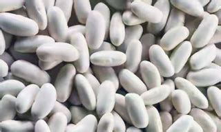 Cannellini beans Nutrition facts and Health benefits