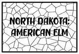 NORTH DAKOTA AMERICAN ELM State Tree Coloring Pages By Anisha Sharma sketch template