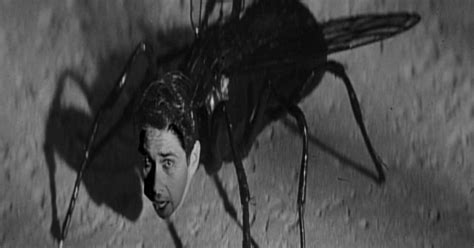 Return of the Fly (1959) - Midnite Reviews