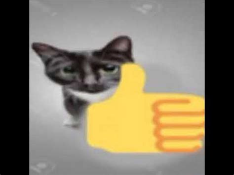 funny cat thumbs up and middle finger - YouTube