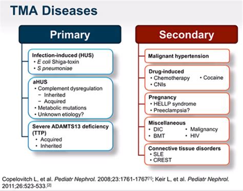 Thrombotic Microangiopathies | ELIM RHEUMATIC CENTRE